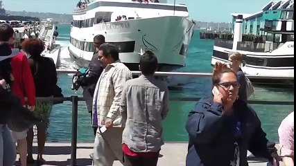 ¡Un crucero choca de frente contra el muelle!