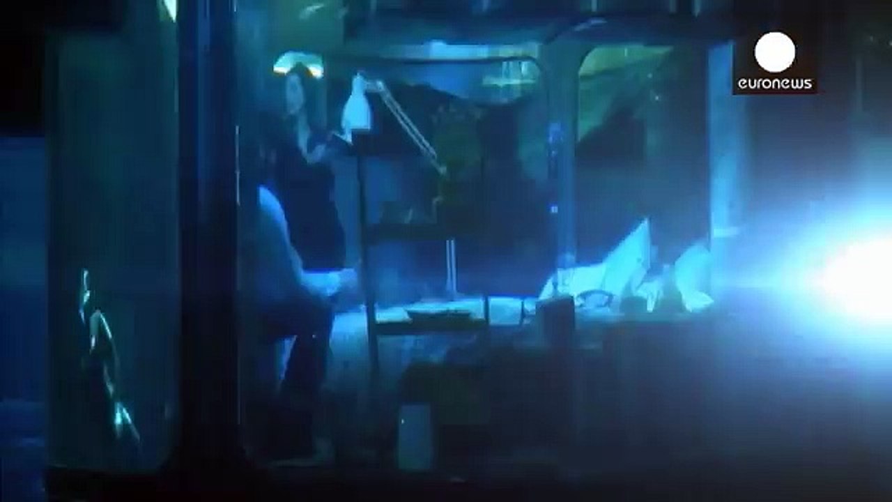 Dormir au milieu de 35 requins, c'est possible