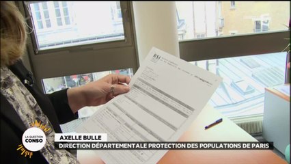 Petits patrons : nouvelle cible des escrocs ?