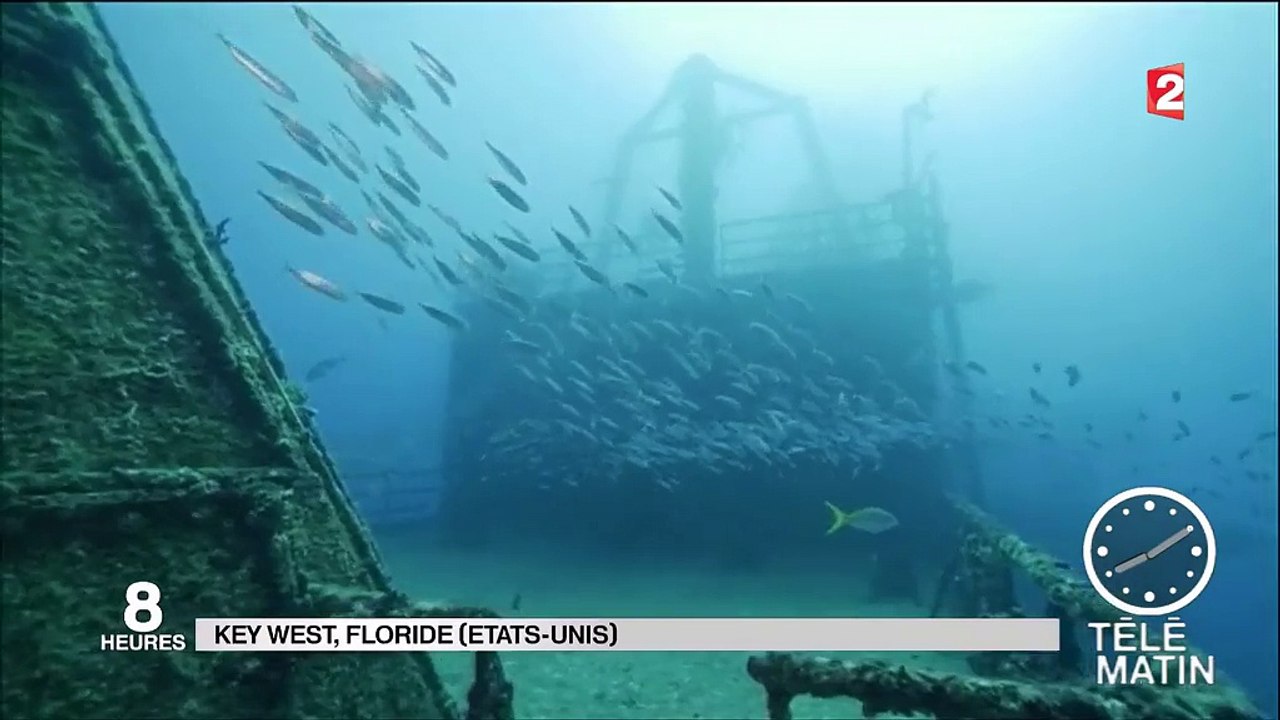 Floride : une exposition sous-marine sur une épave