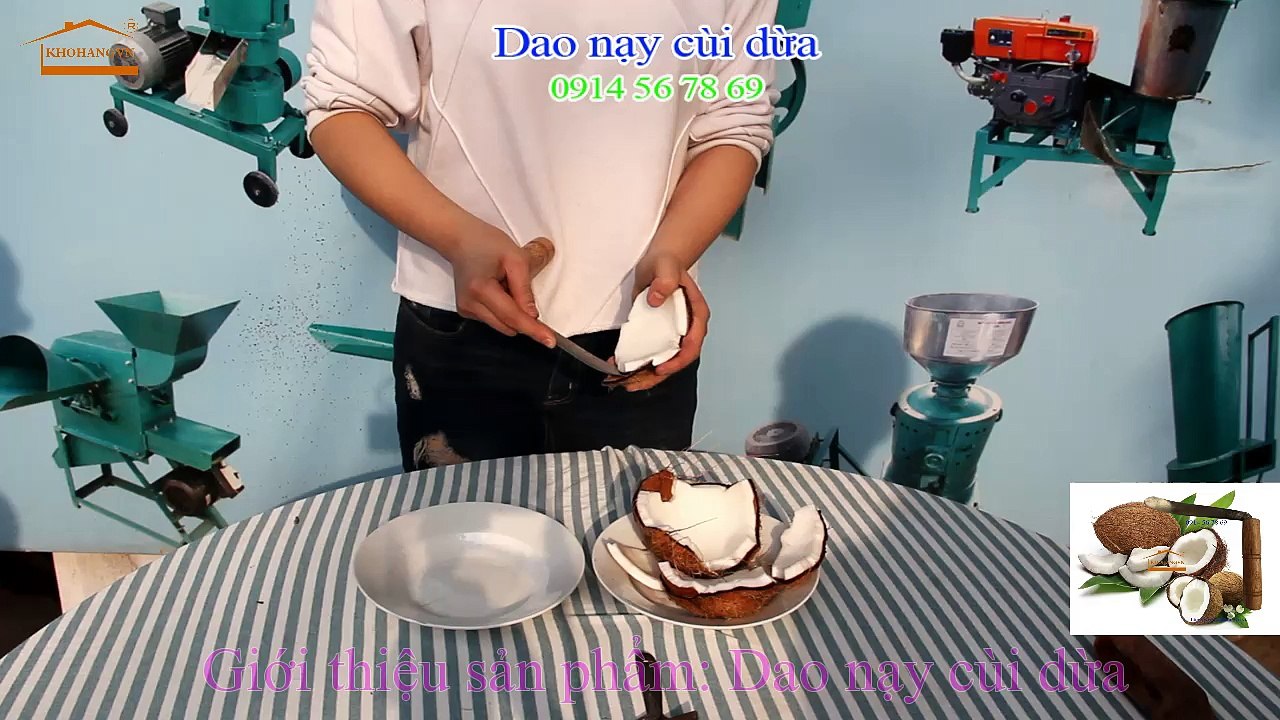 Dụng cụ tách cùi dừa làm mứt dừa