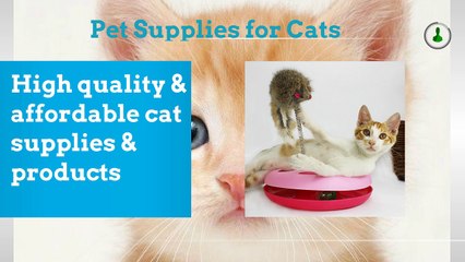 Pet Supplies for cats