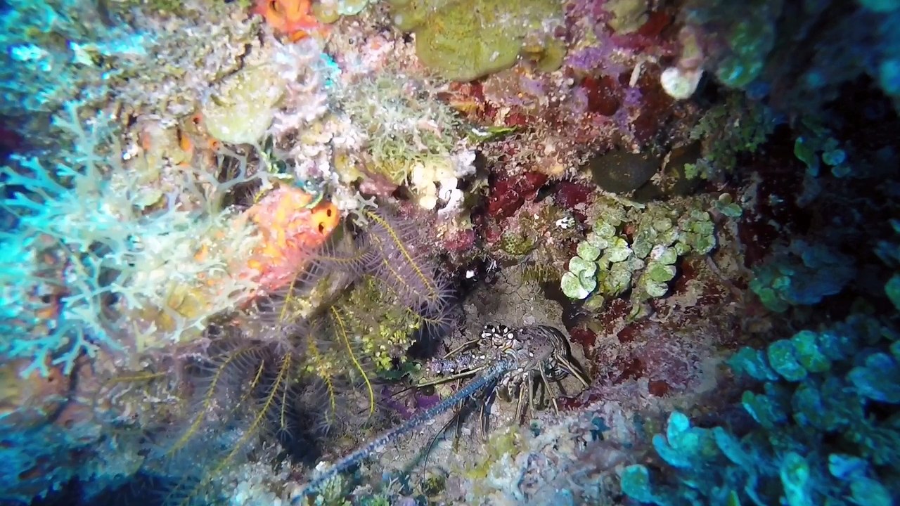 Jamaica 2016