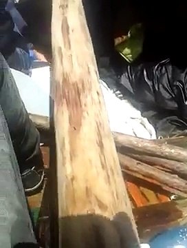 Balseros gravan su traveciahacia los EEUU (costas de Elliot Key en Estados Unidos el 29 de marzo de 2016)