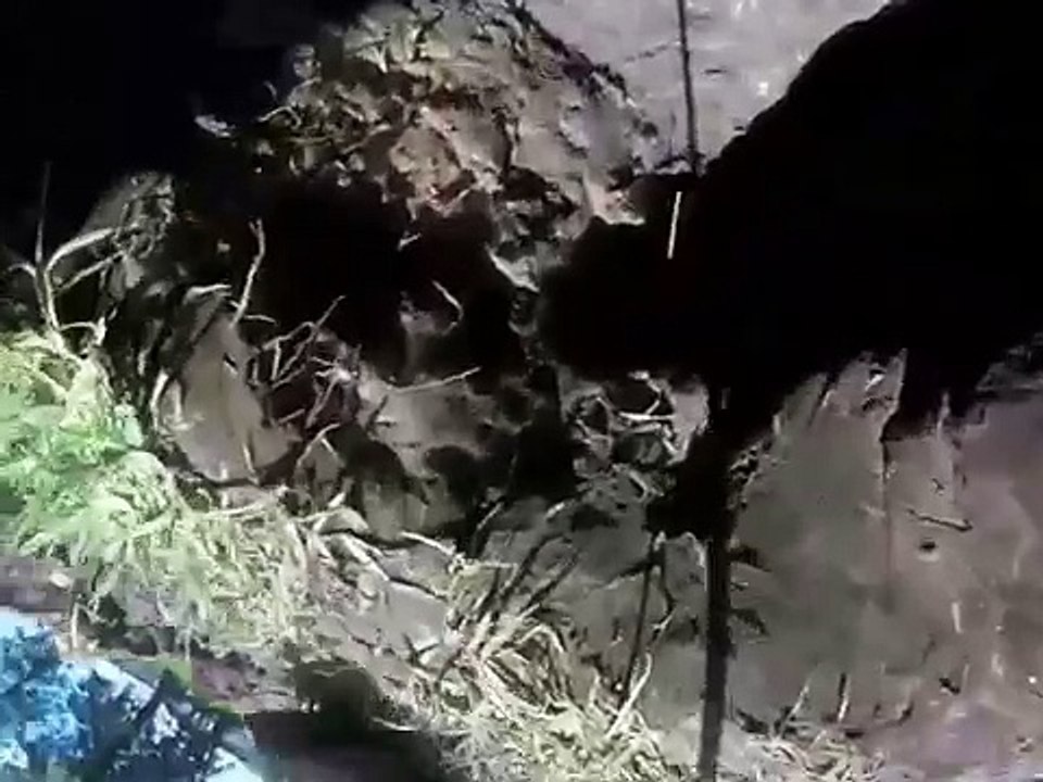 Foundation Repair Houston Texas Review, Call 281-255-4949, Concrete Contractor Houston TX