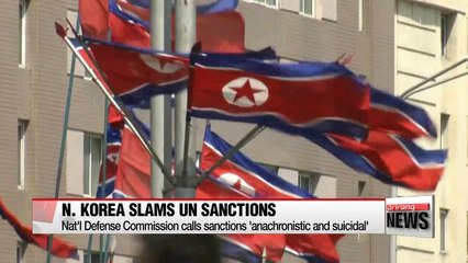 Download Video: N. Korea slams UN sanctions, calls on U.S. to seek talks