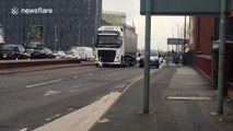 Rogue swan blocks traffic on Manchester road
