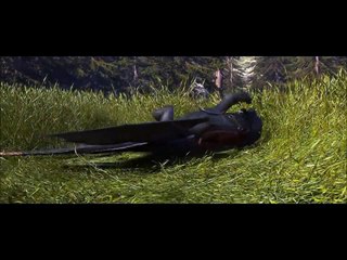 Hiccup and Toothless AMV
