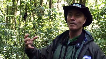 Connecting Costa Rica's wildlife | Environment