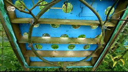 تصاميم للقطف | يوروماكس