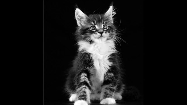 남포동출장안마 OIO-2151-73O9 부산출장안마 전지역 가능