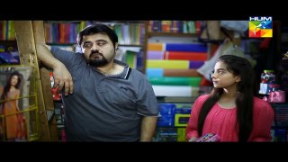 Mr  Shamim Episode 02 Full HUM TV Drama