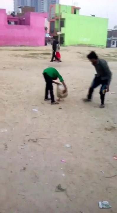 Funny dog - very funny video