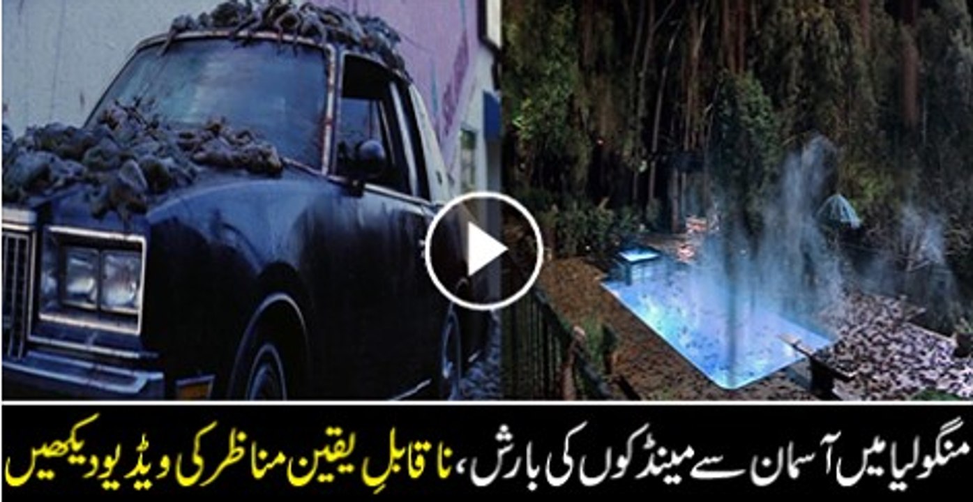 Incredible: Frog Rain In Mongolia Which Shocked Entire World.