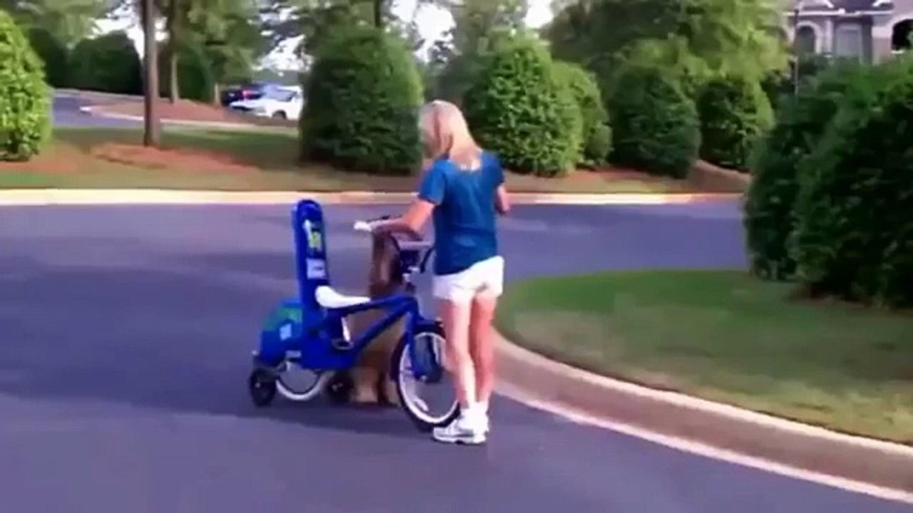 funy video