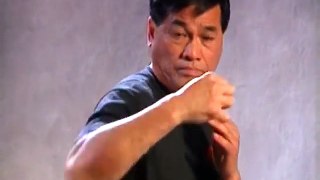 Bruce Lee's Fighting Method 4