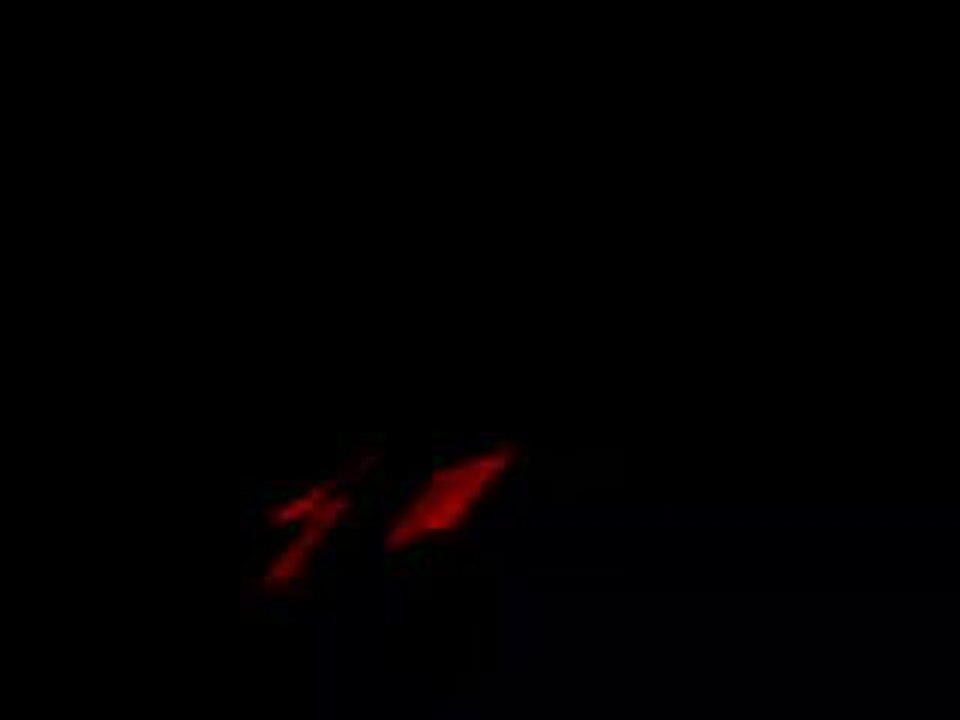 AwolAntVideo(012)