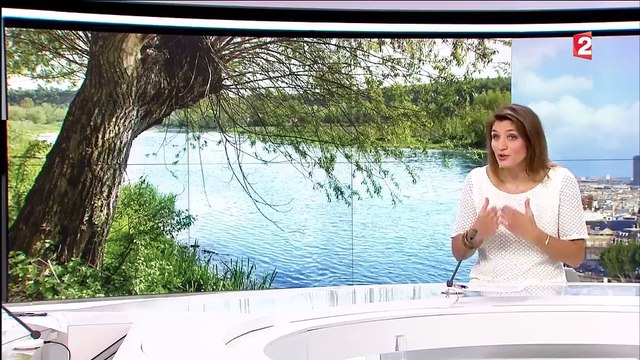 Environnement : comment préserver l'eau ?