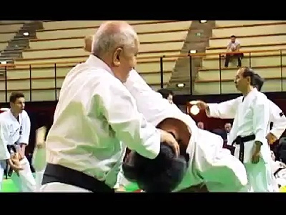 Técnicas de Karate Shito Ryu