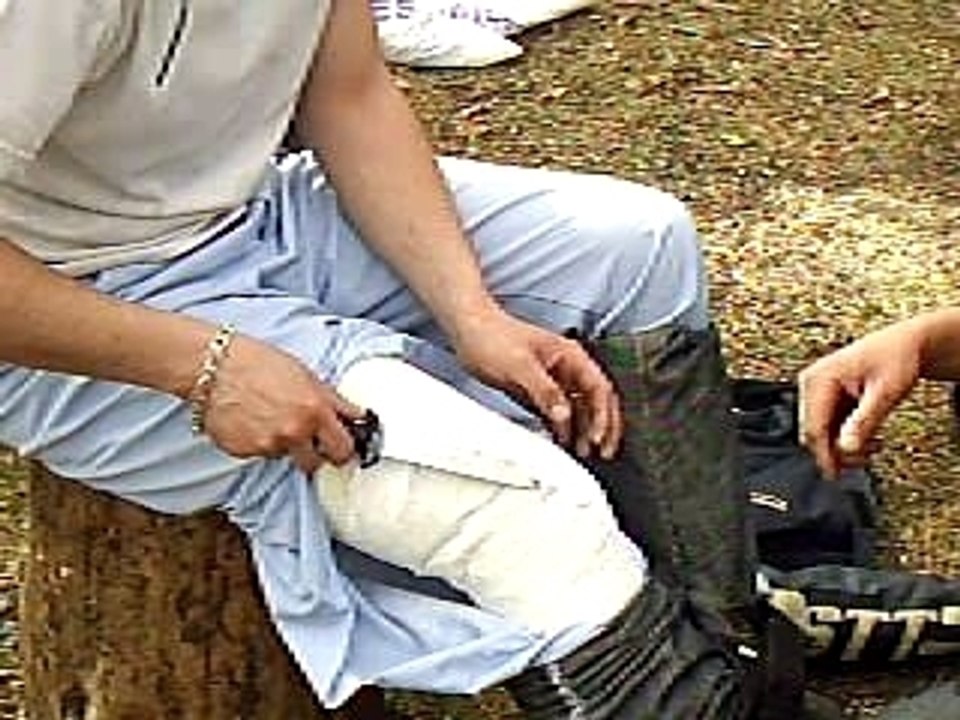 découpage de platre o mans 2006