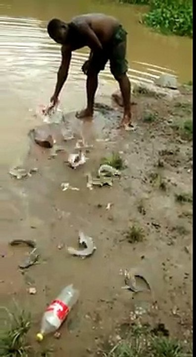 How to Catch Fish (Very Easy Way)