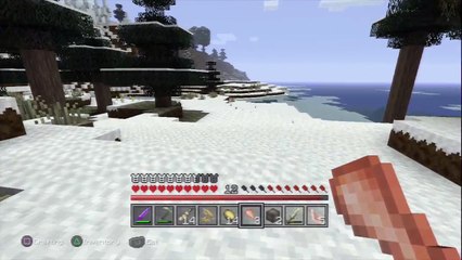 Minecraft Survival Episode 16