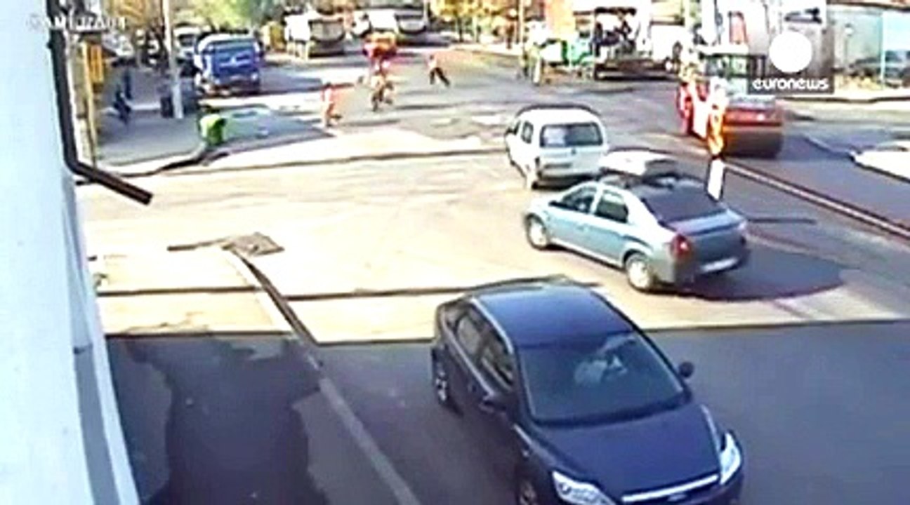 Charging Bull Attacks Video