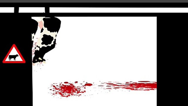 Stop aux violences faites aux animaux (vidéo de sensibilisation)