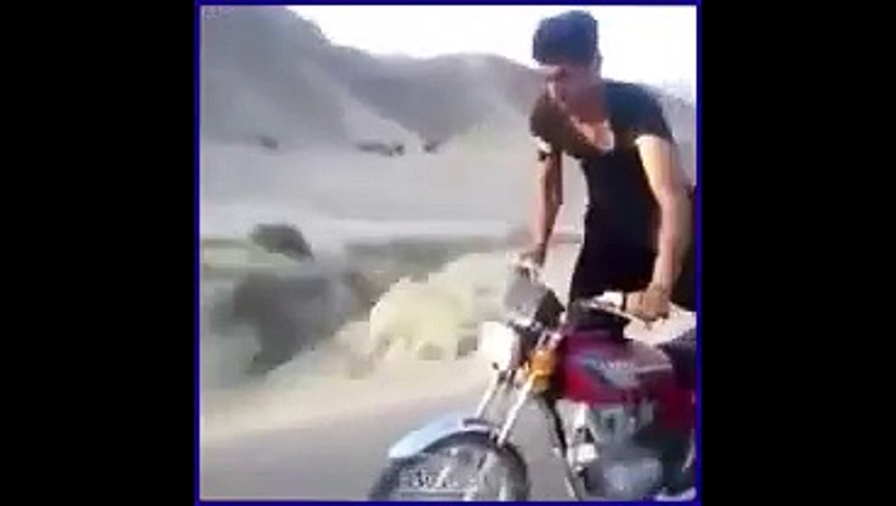 funny accident