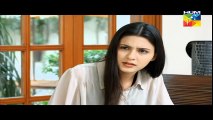 Lagao Episode 23 Full Hum TV Drama 04 Apr 2016