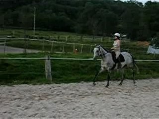 contre galop G 07 06 07