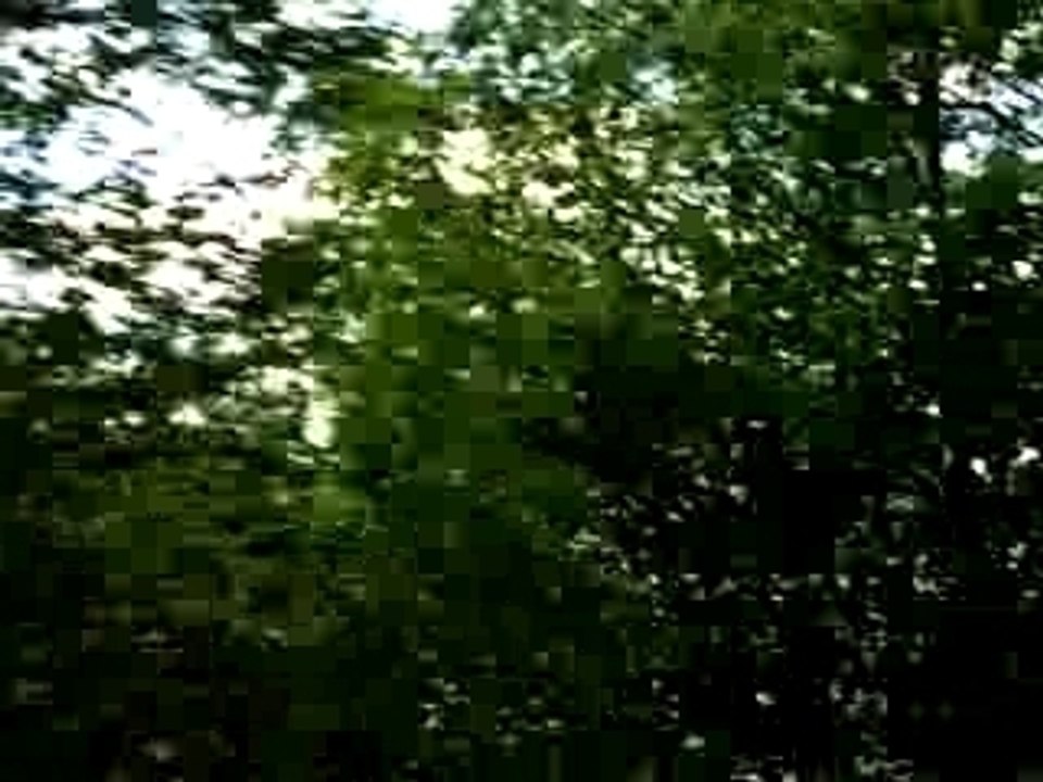 Toujours en direction de Bergen avec les filles qui ronflent