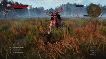 The Witcher 3: Wild Hunt - Velen