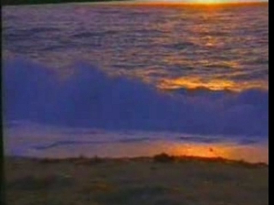 Les Miracles Du Coran 12