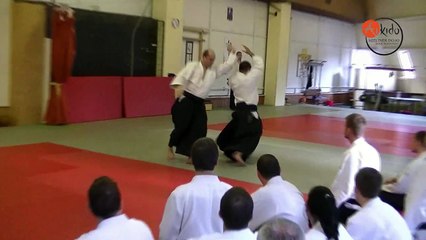 Bak László ( 4. dan ) bemutatója az Aikido Shobukan Dojo Eger 20. évfordulós rendezvényén