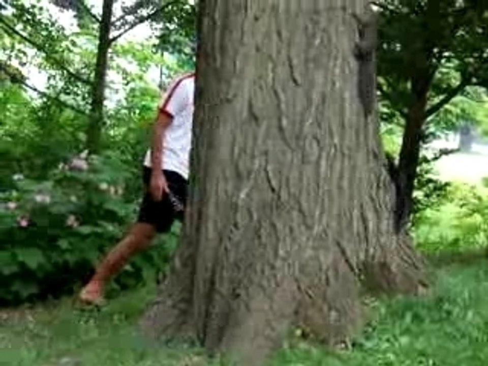 A la chasse aux ecureuils! Encore un effort ti est presque!