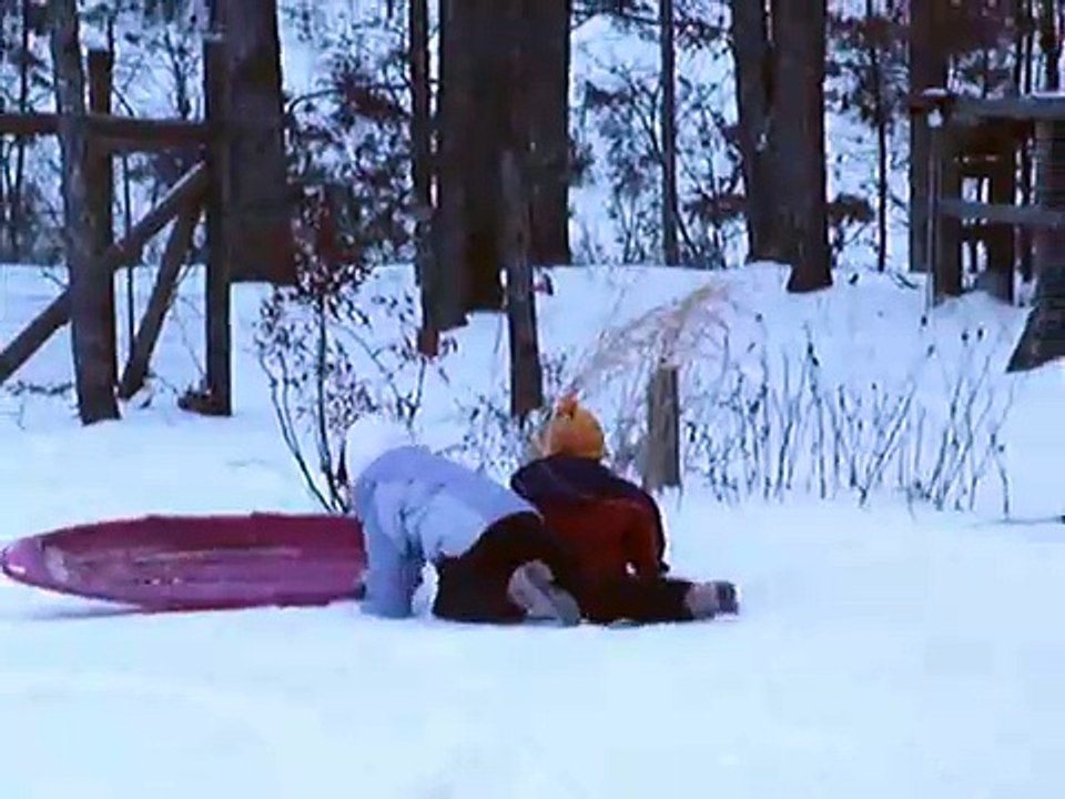 Kids sledding with dogs