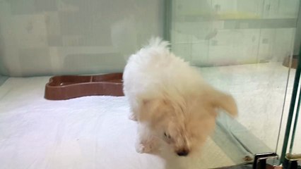 강동구출장마사지／／0I0＊9907＊OOIO／／선입금없는 출장맛사지／／강동구출장안마