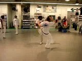 capoeira gerais paris