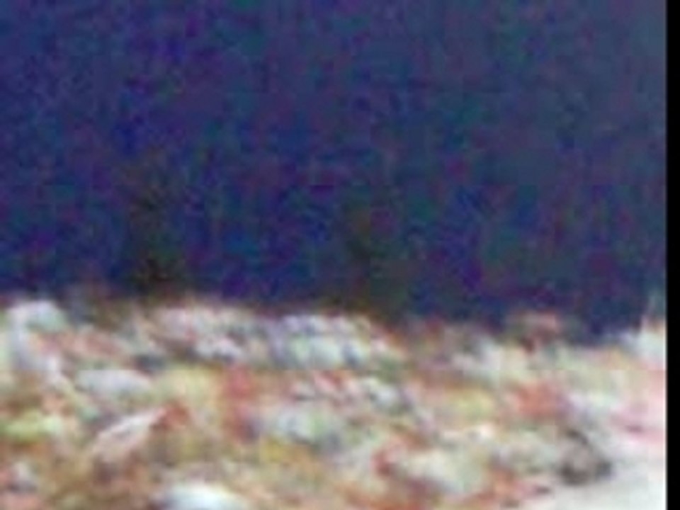 ESS 3