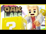 Minecraft Oak Labs! 