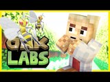 Minecraft Oak Labs! 