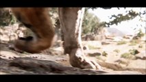 El libro de la selva Trailer Internacional Subtitulado Español HD