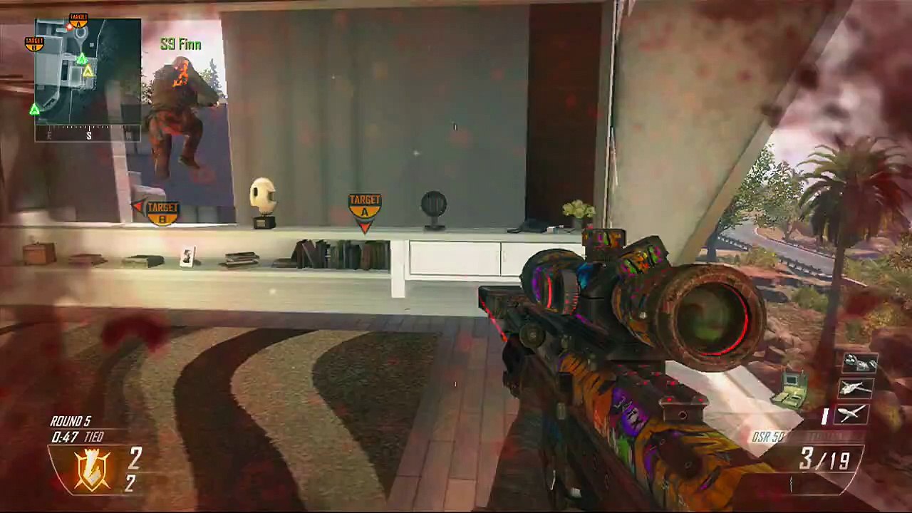 Insane BO2 Raid Bill