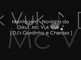 Montagem - Novinha do Orkut, Mc Vuk Vuk ♪ [ DJ's Gordinho e Cheroso ]