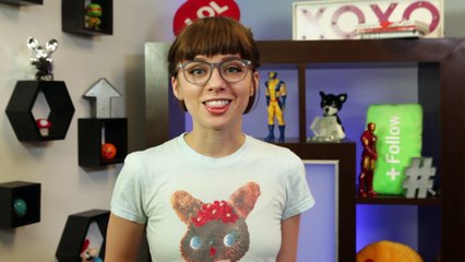 Badass Chihuahua Leads High Speed Chase