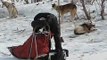 ANWR 2009 -- Part 1: Base Camp