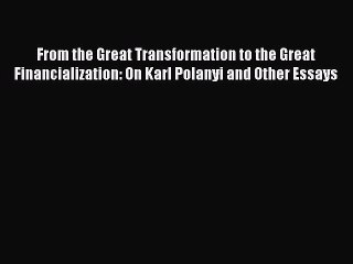 Read From the Great Transformation to the Great Financialization: On Karl Polanyi and Other
