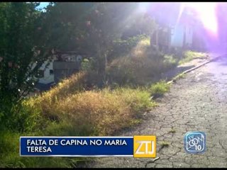 23-01-2015 - ESTAMOS DE OLHO: MARIA TERESA - ZOOM TV JORNAL