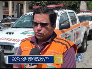 16-01-2015 - PODA DOS EUCALIPTOS - ZOOM TV JORNAL